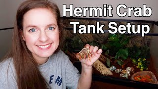 New Hermit Crab Tank Setup amp Sad News [upl. by Aspa501]