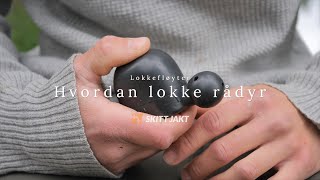 Lokkefløyte bukkejakt  Hvordan lokke rådyr [upl. by Schacker]