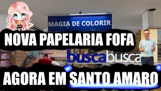 FUI NA NOVA PAPELARIA FOFA NO BUSCA BUSCA DE SANTO AMARO  KAWAII STATIONERY HAUL  MUITA COISA FOFA [upl. by Yerfdog664]