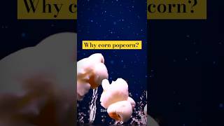 Popcorn कैसे बनते हैं shorts [upl. by Ahsimed231]