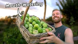 Growing Tomatillos from SEED to HARVEST and How To Use Them 🤤 [upl. by Mccandless]