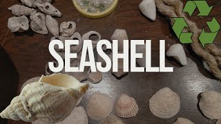 SeaSHELL🐚 deniz kabuğundan ne yaptım ❓ [upl. by Alaine125]