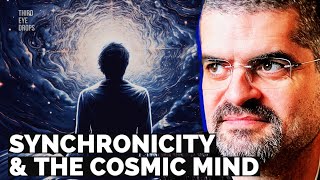 Carl Jung Synchronicity Archetypes and UFOs  Bernardo Kastrup [upl. by Galliett]