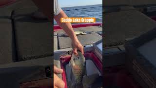 “Quick evening practice on Caddo Lake—getting tournament ready 🎣 Crappie CaddoLake” [upl. by Itsirhc]