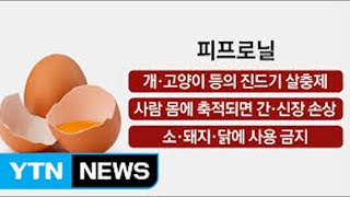 개진드기예방약이 다른 동물들에게는 금지인 이유개에겐 안전할까 [upl. by Ykvir]