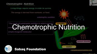 Chemotrophic Nutrition Biology Lecture  Sabaqpk [upl. by Nevaj]