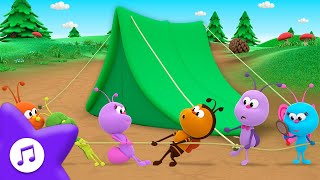 Camping Day 🏕️ Camping Song 🦋 BOOGIE BUGS 🐞 PREMIERE 🎵  More Kids Songs  Toddler Learning [upl. by Thirzia331]