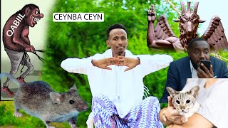 Ceynba Ceyn Dhaanto Cusub Abwaan Cabdi Baag New Video Official Kooxda Qaran Band [upl. by Yemaj]