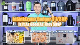 InSinkErator Badger 5 12 HP Review  Shouldit Garbage Disposal Series [upl. by Leind]