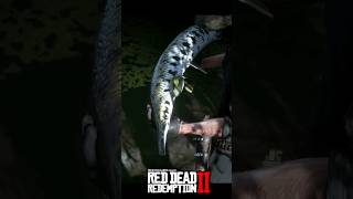 RDR2  Legendary Longnose Gar [upl. by Chari264]