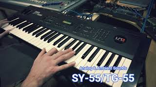 Yamaha SY55TG55  Custom Ambient amp Analog Sounds [upl. by Silisav]