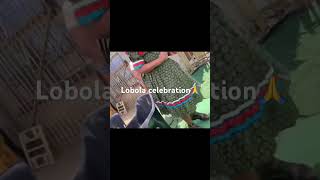 Lobola celebration southafricanyoutuber vlog lobola [upl. by Salomo919]