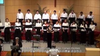 Handel  Laudate pueri Dominum HWV237  I Laudate pueri [upl. by Fabiolas513]