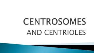 WHAT ARE CENTROSOMES AND CENTRIOLES [upl. by Analihp]