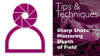 Photography Tips and Techniques Sharp Shots  Mastering Depth of Field [upl. by Childers]