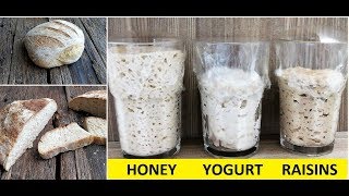 How to make a Sourdough Starter  3 easy ways [upl. by Rotciv]