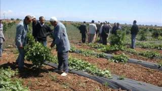 formation de goutte a goutte maroc [upl. by Schaffel728]