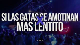 SI LAS GATAS SE AMOTINAN X MAS LENTITO MASHUP [upl. by Oivlis]