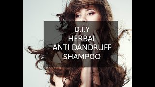 DIY  Herbal Anti Dandruff Shampoo  Sulfate amp Paraben Free [upl. by Cira11]