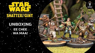 STAR WARS Shatterpoint Unboxing EE CHEE WA MAA [upl. by Eddana]