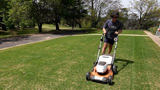 Week 1 Lawn Renovation Results  How Im Speeding Up Repair [upl. by Enyrehtak50]