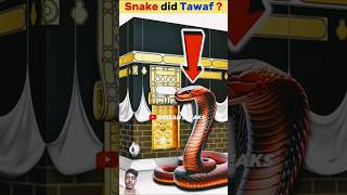 Snake did Tawaf   shortsfeed facts viral tawaf hajj [upl. by Meensat]