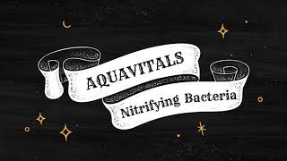 AQUAVITALS  Nitrifying Bacteria [upl. by Siobhan]