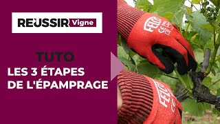 Les 3 étapes de lépamprage selon Simonit amp Sirch  Le Tutoriel réussir Vigne [upl. by Namus570]