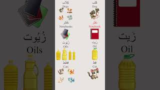 Broken Plural in the Arabic Language4 [upl. by Einalem]