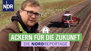 Ackern für die Zukunft  Der junge Kartoffelbauer  Die Nordreportage  NDR [upl. by Stannwood]