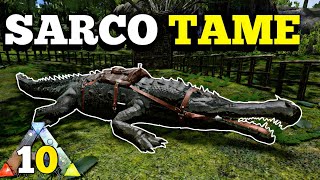 Taming a max level sarco  ark season 1 ep10  ark revamp ark survival evolved [upl. by Ruyle448]