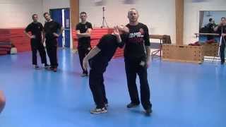 controle d un adversaire ar jerome ferre penchak silat double impact [upl. by Malamud]