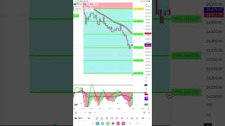 Auto Buy Sell Indicator   best tradingview indicator   Telugu Trader Surya  buy sell signal [upl. by Noirrad]