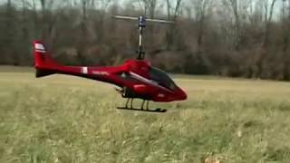 EFlight Blade CX2 Helicopter [upl. by Brietta]