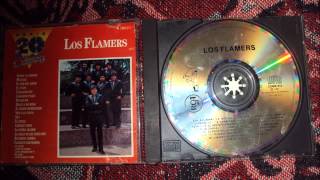 EL TIZON LOS FLAMERS [upl. by Ellerahc]