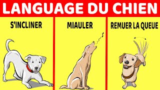 Comment Comprendre Ton Chien Le Langage Du Chien Expliqué [upl. by Ithaman712]