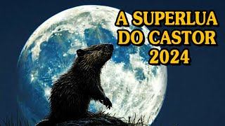 A Superlua do Castor 2024 Tudo o Que Você Precisa Saber Sobre a Lua Cheia de Novembro🎇 [upl. by Navanod]