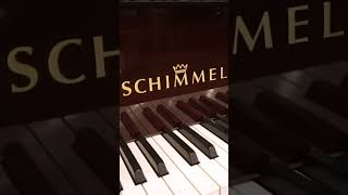 Schimmel C189 Mahogany Grand Piano at Classic Pianos Portland [upl. by Bunnie]