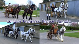 London Harness Horse Parade Ardingly 2024 [upl. by Anytsirhc]