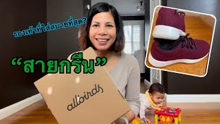 รีวิว allbirds รองเท้าที่ใส่สบายที่สุด weareallbirds [upl. by Blinnie]