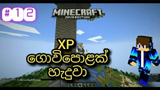 XP ගොවිපොළක් හැදුවා I Build A XP Farm In Minecraft 121 EP12 [upl. by Merv]