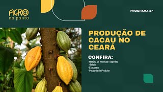 Agro no Ponto 27  Produção de Cacau no Ceará Espedito Seleiro Expocrato Cavalgada dos Bastiões [upl. by Rbma]