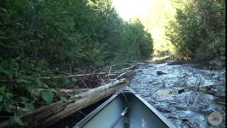 Northern Ontario River Canoe RoutesTrip The Mountjoy Top Part 2011 [upl. by Nagy685]