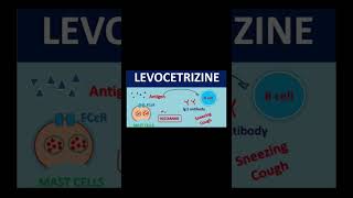 Mechanism of action of cetirizine LCZ 💊  Anti Histamine  Anti allergic tablet [upl. by Dennis]