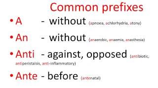 Medical terms  common prefixes [upl. by Dinesh]