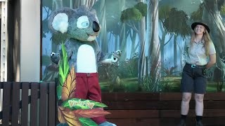 Blinky Bill Currumbin Wildlife Sanctuary Gold Coast 2024 Full Show [upl. by Yajiv866]