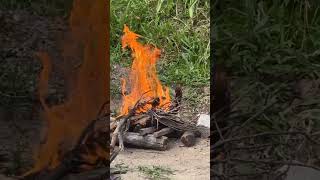 Real fire from dry wood in Jamaica [upl. by Atalante393]