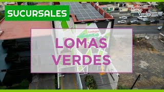 Bodegas Alianza Lomas Verdes [upl. by Ibok]