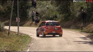 Rallye des Vins du Gard 2018  Attack and show HD [upl. by Deadman]