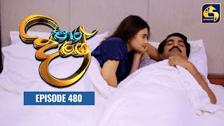 Paara Dige  Episode 480  පාර දිගේ  27th March 2023 [upl. by Yasmeen]